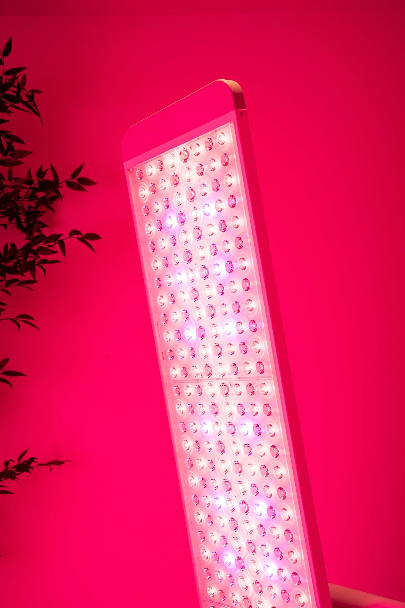 Close view of the illuminated Renew Panorama Panel